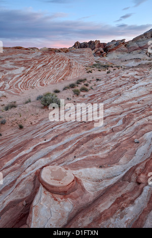 Red and white sandstone layers with colorful clouds at sunset, Valley Of Fire State Park, Nevada, United States of America Stock Photo