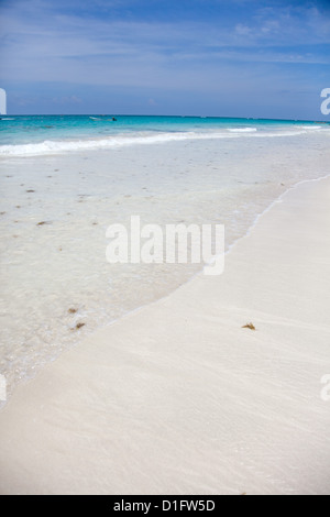 Stunning Caribbean beach at Tulum near Playa Del Carmen, Mexico. Stock Photo