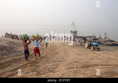 Two men carrying baskets of cauliflower and pumpkins on their heads, down to boats on the River Ganges, Sonepur, Bihar, India Stock Photo