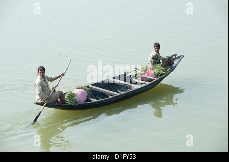 Men punting a wooden boat along the River Hugli, carrying bundles of alfalfa to market, near Kolkata, West Bengal, India Stock Photo