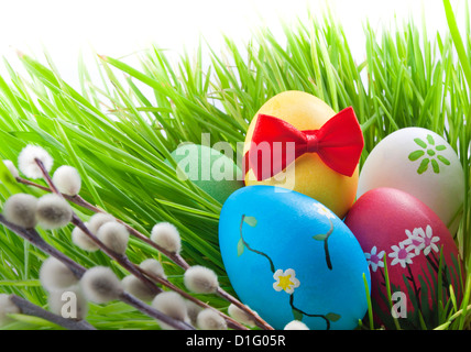 Concept of easter eggs on green grass  and yellow straw with flowers background against white Stock Photo