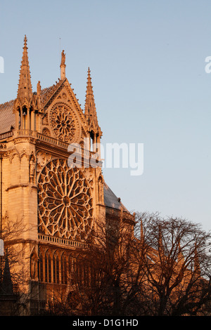 Rose window on South facade, Notre Dame Cathedral, Paris, France, Europe Stock Photo