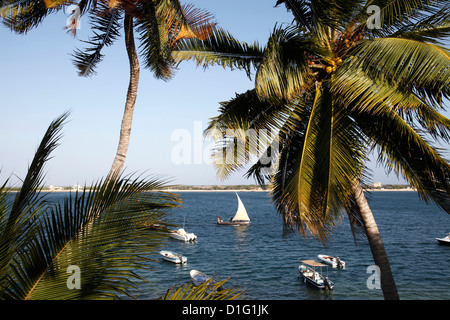 View from the Peponi hotel, Shela, Lamu Island, Kenya, East Africa, Indian Ocean, Africa Stock Photo