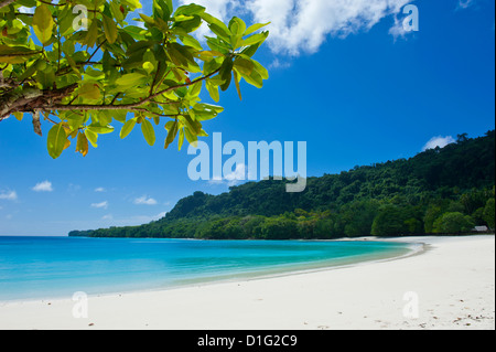 Turquoise water and white sand at the Champagne beach, Island of Espiritu Santo, Vanuatu, South Pacific, Pacific Stock Photo