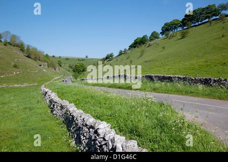 Long Dale near Hartington, Peak District, Derbyshire, England, United Kingdom, Europe Stock Photo