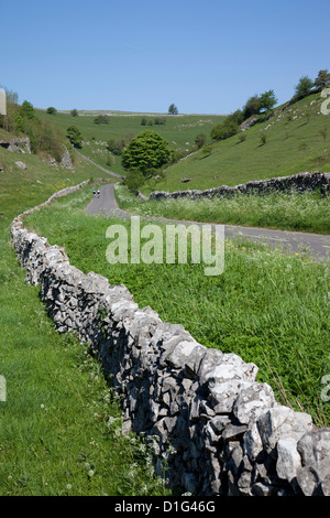 Long Dale near Hartington, Peak District, Derbyshire, England, United Kingdom, Europe Stock Photo