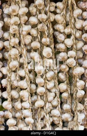 Mass of garlic cloves on market stall Stock Photo