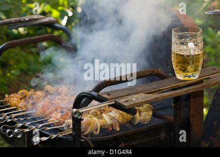 Cooking shashlik with meat and onion on the grill with metal skewers Stock Photo