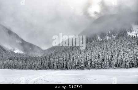 Beautifully simple snow covered mountain trees with clouds. Stock Photo