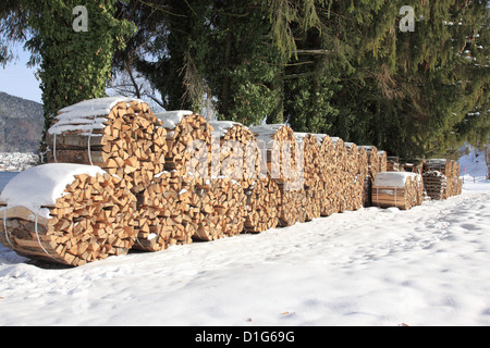 piled firewood in winter at lake Tegernsee, Upper Bavaria, Germany, Europe. Photo by Willy Matheisl Stock Photo