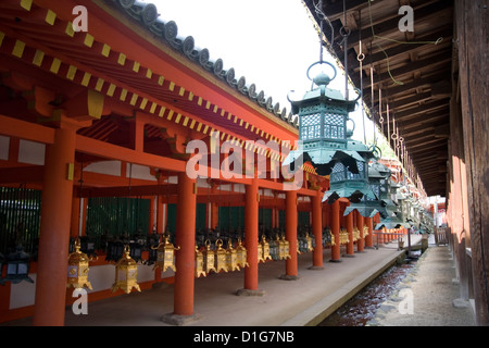 Bronze lanterns hanging in the grounds of Kasuga-Taisha Shrine, Nara, Japan. Stock Photo