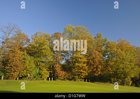 Autumn scene on a golf course in Bromley Kent England Stock Photo