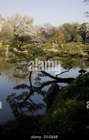 The Japanese stroll garden of Kiyosumi Gardens located in Fukagawa, Tokyo, Japan. Stock Photo