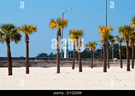 Panorama of  Biloxi  with palm  beach and famous Lighthouse , , Mississippi , USA Stock Photo