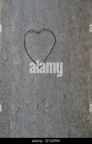 Heart Carved In A Tree Stock Photo
