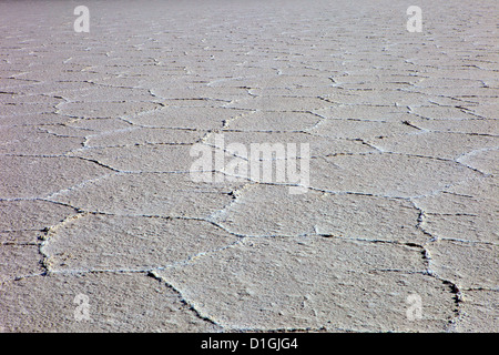 Details of the salt deposits in the Salar de Uyuni salt flat, southwestern Bolivia, Bolivia, South America Stock Photo