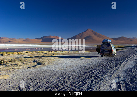 Laguna Colorada, a salt lake in the southwest of the altiplano, within Eduardo Avaroa Andean Fauna National Reserve, Bolivia Stock Photo