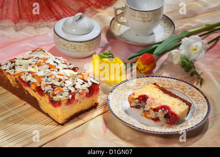 Cocoa Plum Cake Stock Photo