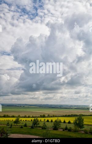 White Puffy Clouds of the prairies of Alberta, big sky over the green fields and pasture land. Central Alberta Canada Stock Photo