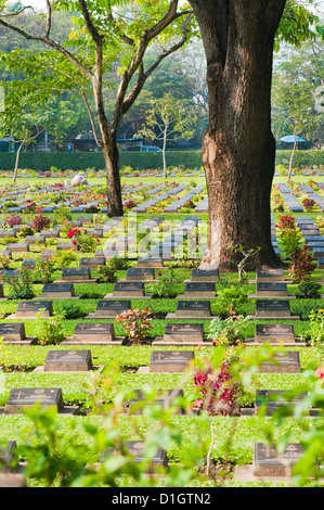 Lines of thousands of graves among trees at Kanchanaburi War Cemetery, Thailand, Southeast Asia, Asia Stock Photo