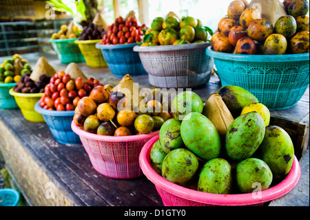 Exotic fruits at a tropical fruit farm, Bali, Indonesia, Southeast Asia, Asia Stock Photo