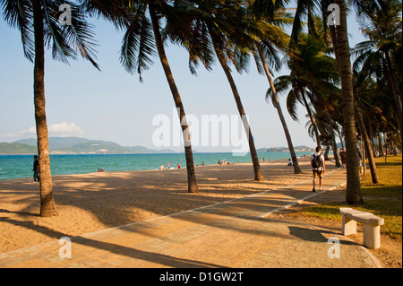 Palm trees at beautiful Nha Trang beach, Vietnam, Indochina, Southeast Asia, Asia Stock Photo