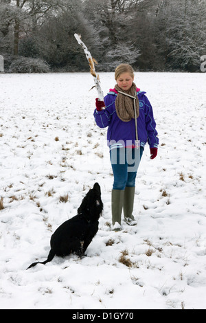 Young girl training English Working Cocker Spaniel in snow with stick Stock Photo