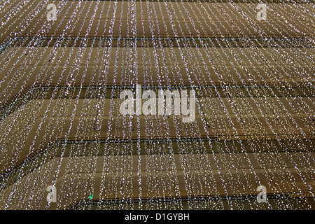 Background Light Strands Stock Photo