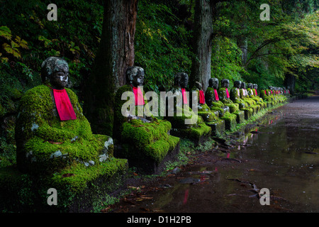 On the path near Kanmangafuchi Abyss, the statues of the Jizo lay watching Stock Photo