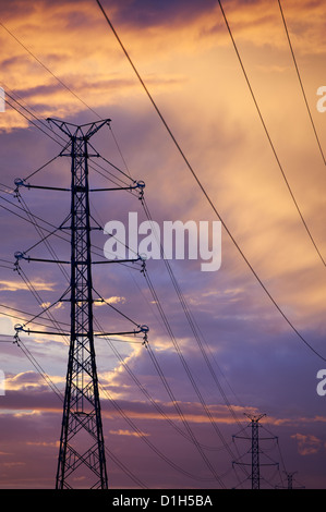 Electricity pylons Stock Photo