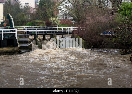 River Pant in Full Spate in Braintree, Essex on 22nd December 2012 following Persistent Heavy Rain Stock Photo