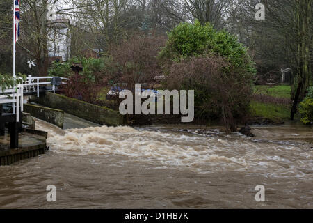 River Pant in Full Spate in Braintree, Essex on 22nd December 2012 following Persistent Heavy Rain Stock Photo