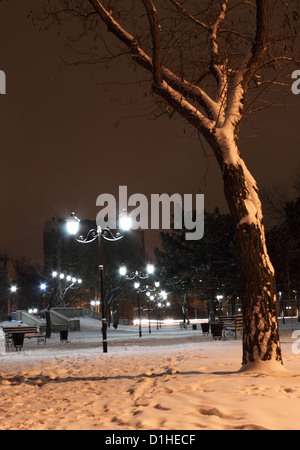 lanterns in park at winter night Stock Photo