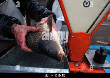 A street vendor prepares a Christmas carp for customers, Prague, Czech Republic Stock Photo