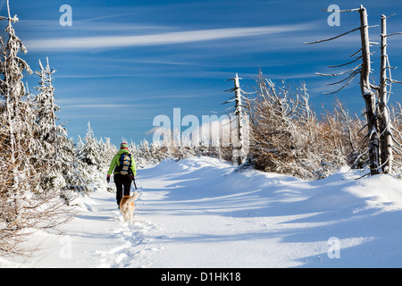 Woman hiking in winter mountains with akita dog Stock Photo
