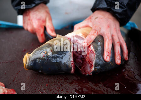 Cutting Czech Christmas carp for customers. Prague, Czech Republic Stock Photo