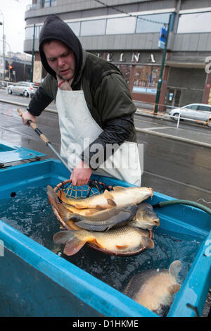 A street vendor Christmas carp for customers, Prague, Czech Republic Stock Photo