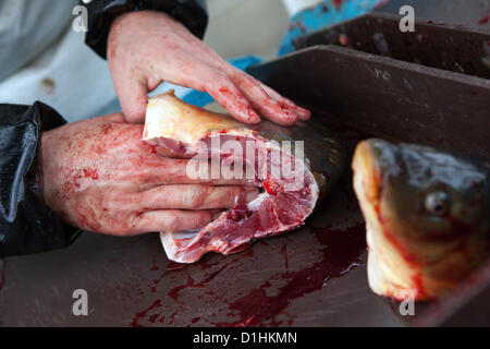 Cutting Czech Christmas carp for customers. Prague, Czech Republic Stock Photo