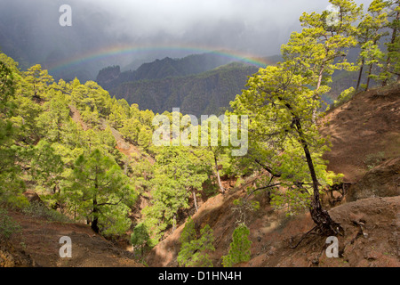 Caldera de Taburiente National Park, La Palma, Canary Islands, Spain Stock Photo