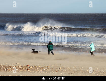 Dog walkers struggle against strong winds and swirling sand Roker Sunderland north east England