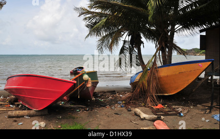 Cumulus clouds view three small wooden boats moored littered beach sand below palm tree, Grenville Bay, Grenada, West Indies Stock Photo