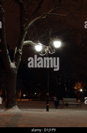 lantern in park at winter night Stock Photo