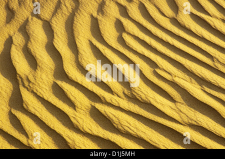 Gold desert into the sunset. Sand texture. Stock Photo