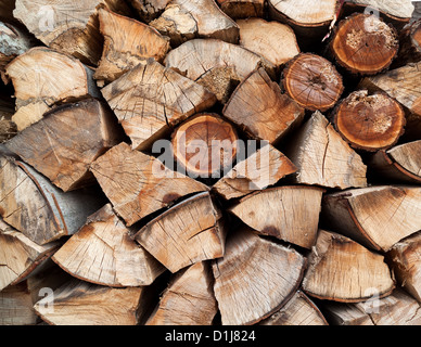 Stack of beech chopped firewoods prepared for winter Stock Photo