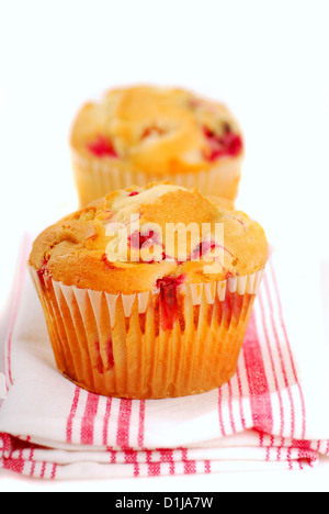 Two freshly baked cranberry muffins resting on a napkin Stock Photo