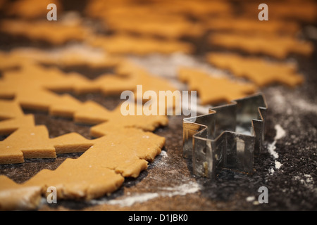 A number of Christmas tree shaped gingerbread treats are cut out ready for baking Stock Photo