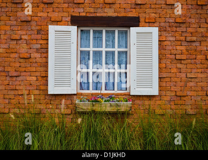 White window. Stock Photo