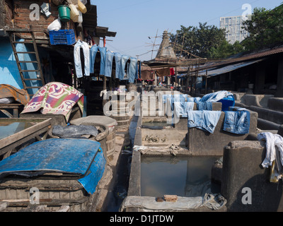 Blue jeans drying at Dhobi Ghat an outdoor laundry facility in Mumbai India. Stock Photo