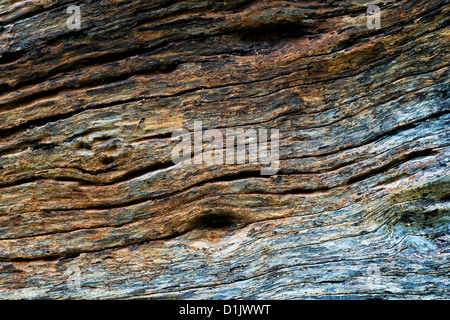 Old wooden seat texture Stock Photo