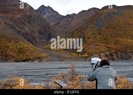 Man peering through a spotting scope. Toklat Ranger Station. Denali National Park. Alaska. USA Stock Photo